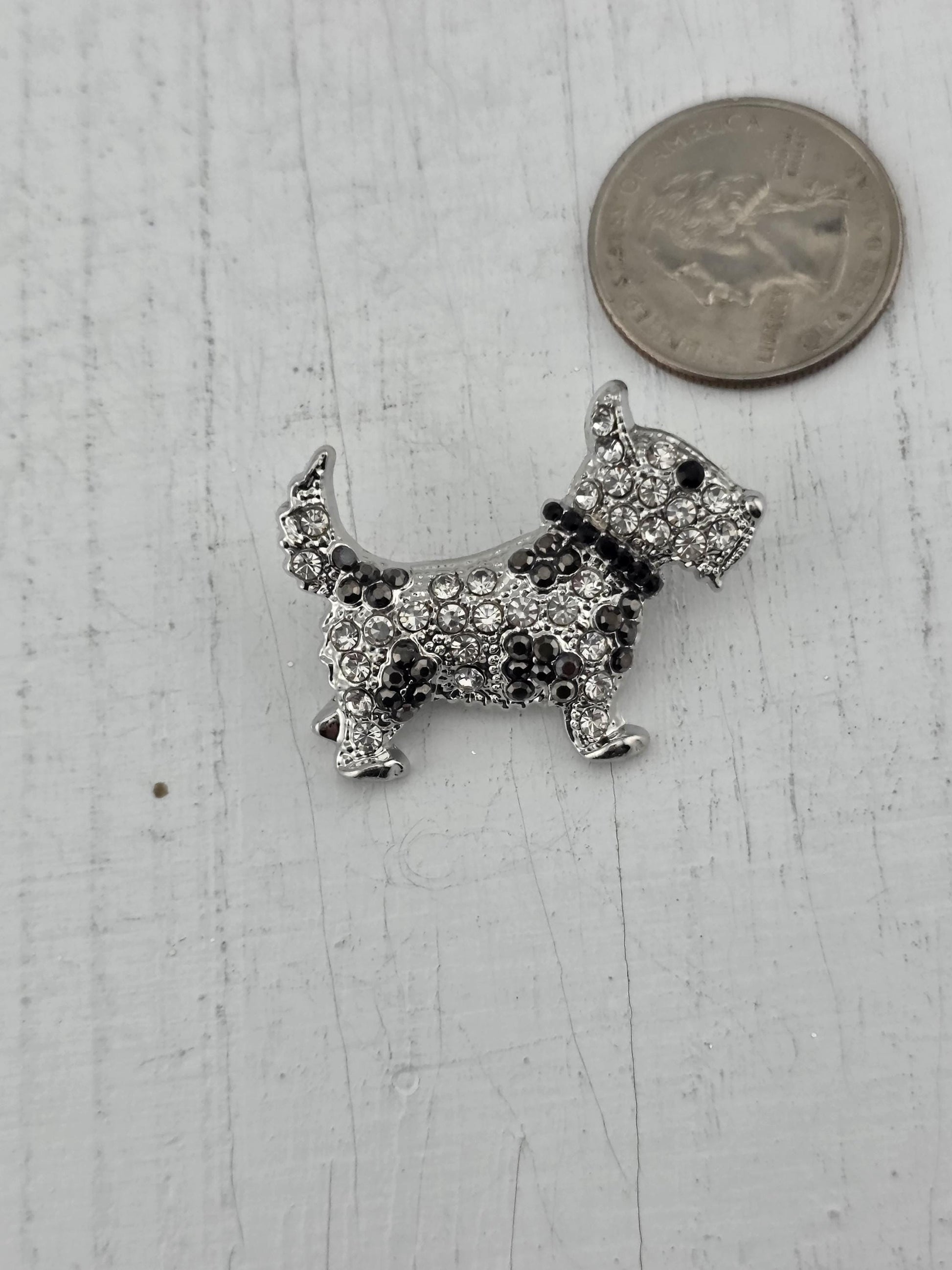 A silver-colored brooch in the shape of a dog is placed next to a US quarter on a white wooden surface.